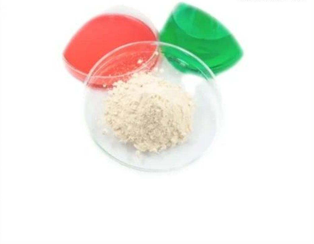 Buy 5-MMPA Powder Online