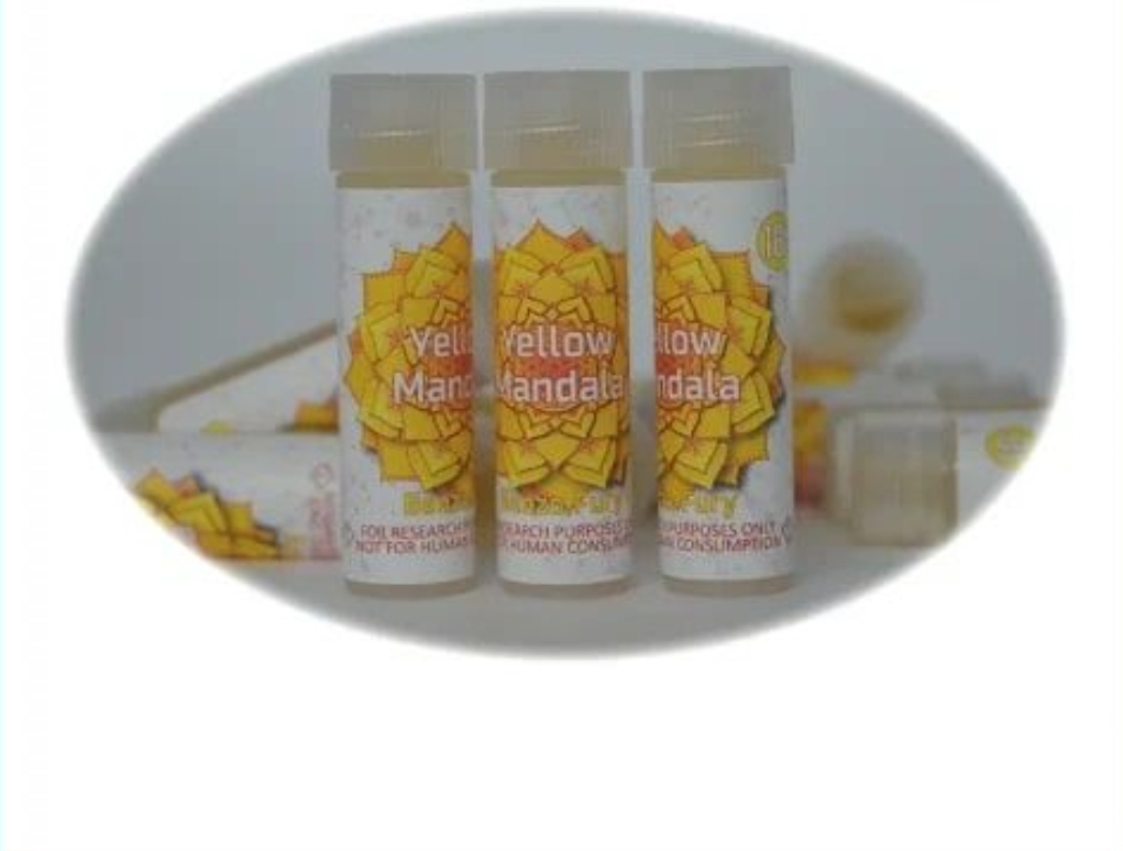 Buy Yellow Mandala Mix Online